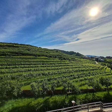 Wohnung In Der Wachau 魏森基兴 外观 照片