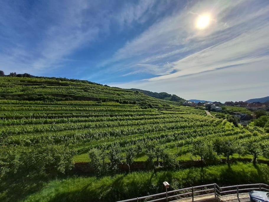 Wohnung In Der Wachau 魏森基兴 外观 照片